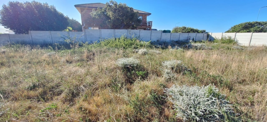 0 Bedroom Property for Sale in Reebok Western Cape